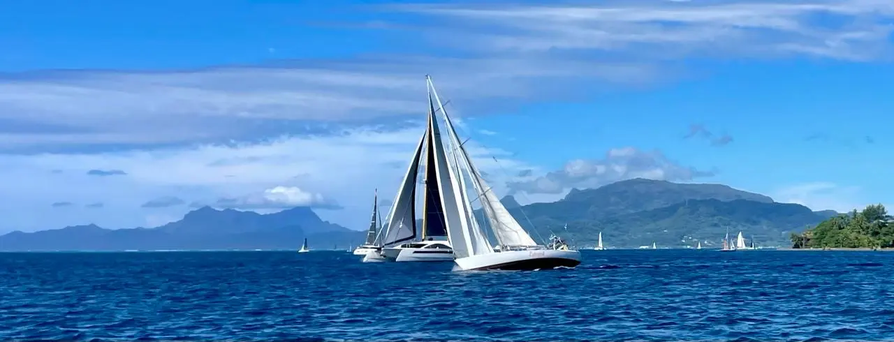 Vue aérienne de One Cat sous voile